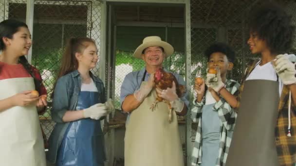 Multiracial Children Collect Chicken Eggs Play Uncle Farmer Hen Agriculture — Vídeo de stock