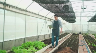 One modern male farmer experiments working with laptop in plantation greenhouse. Gardener man checks and inspects vegetable growth, agriculture nursery crops, and fresh organic green nature product.