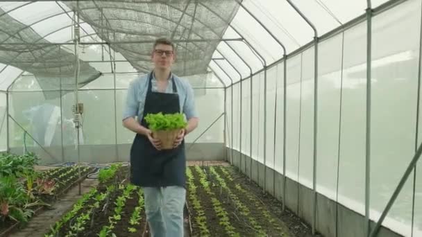 Caucasian Male Farmer Looks Gives Basket Fresh Vegetables Camera Happy — стоковое видео