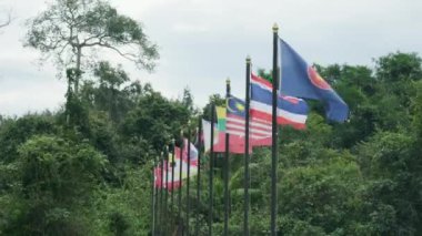 ASEAN toplumu, bir grup Güneydoğu Asya ülkesi, yeşil ağaçlar, Tayland, Malezya, Myanmar ve bölge ilişkilerinde özgürlük ve birliğe sahip diğer Asya ülkelerinde rüzgarda sallanan bayraklar..