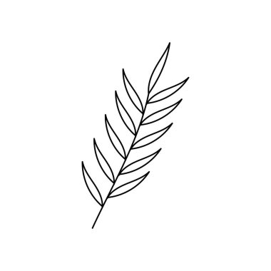 El çizgileri olan bir yaprak simgesi. Vektör illüstrasyonu