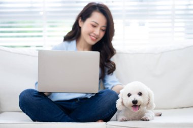 Genç Asyalı iş kadını köpeğiyle evde çalışıyor.