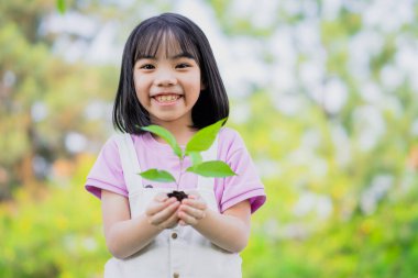 Image Asian little girl holding a sapling in her hand