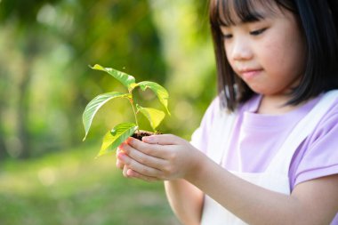 Image Asian little girl holding a sapling in her hand
