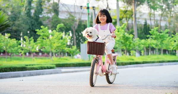 Изображение Азиатской Маленькой Девочки Катающейся Велосипеде Собакой Парке — стоковое фото