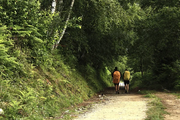 santiago Ey cebreiro, lugo, İspanya için yürümek hacılar