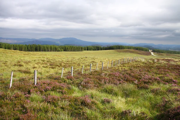 Zaun im schottischen Moor, Schottland. uk. — Stockfoto