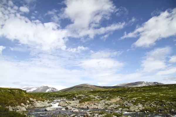 Tundra nel parco nazionale Dovrefjell, Norvegia — Foto Stock