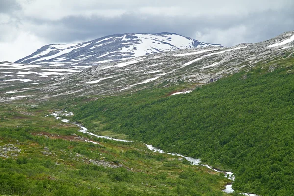 ノルウェーのツンドラ — ストック写真