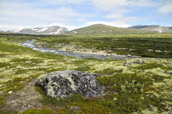Toendra in het nationale park dovrefjell, Noorwegen — Stockfoto
