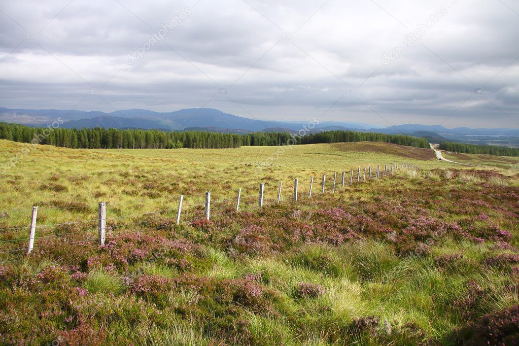 Fence in scottish moorland, Scotland. UK.