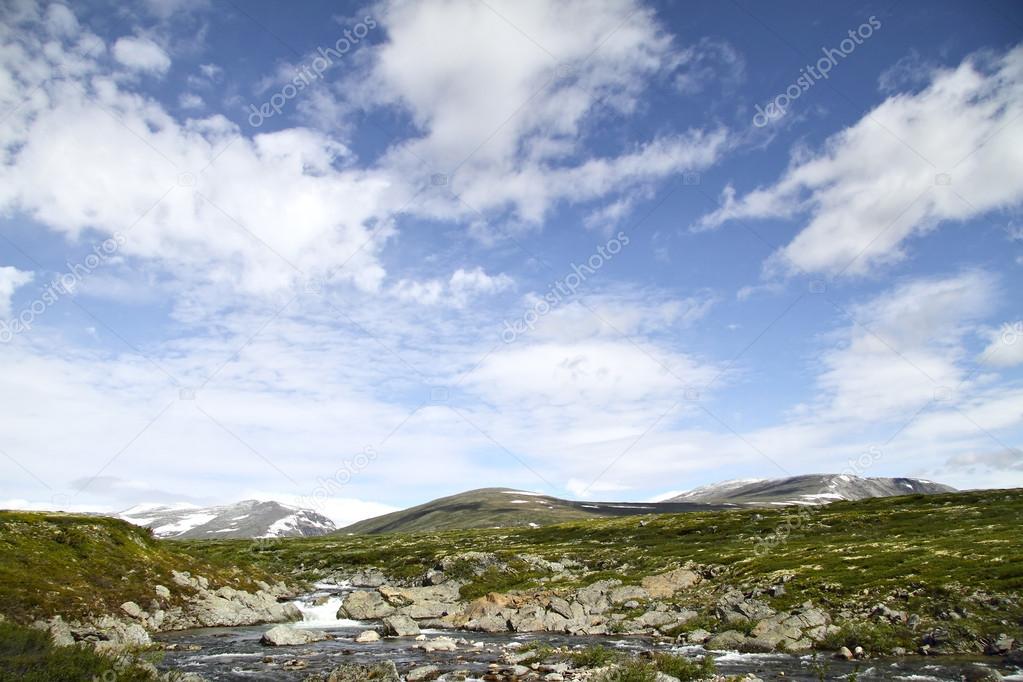 Tundra in Dovrefjell National Park, Norway