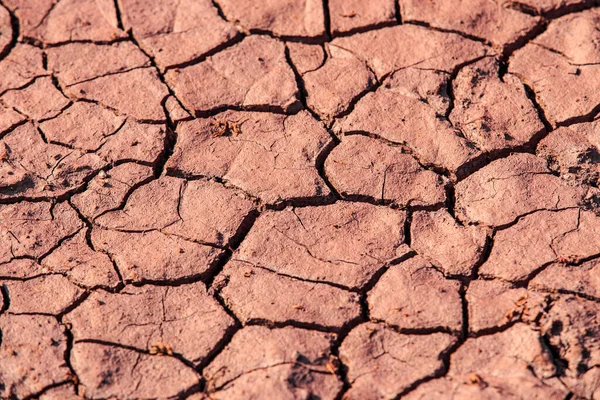 Gebarsten Rode Aarde Tijdens Droogte Textuur Van Aarde Tijdens Droogte — Stockfoto