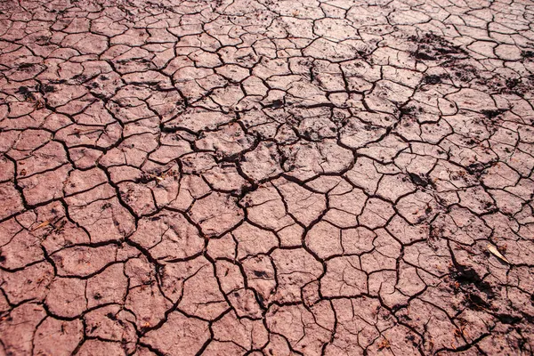 Rissige Rote Erde Während Der Dürre Die Struktur Der Erde — Stockfoto