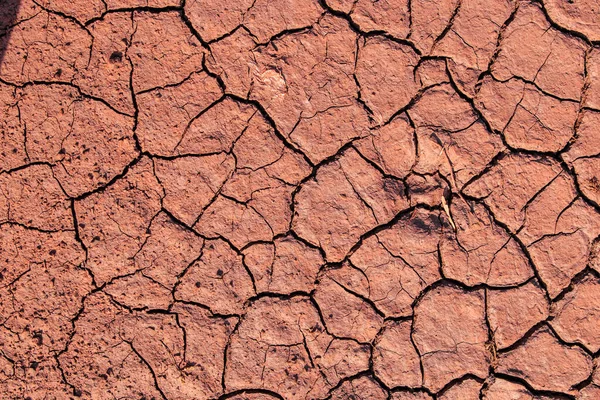 Gebarsten Rode Aarde Tijdens Droogte Textuur Van Aarde Tijdens Droogte — Stockfoto