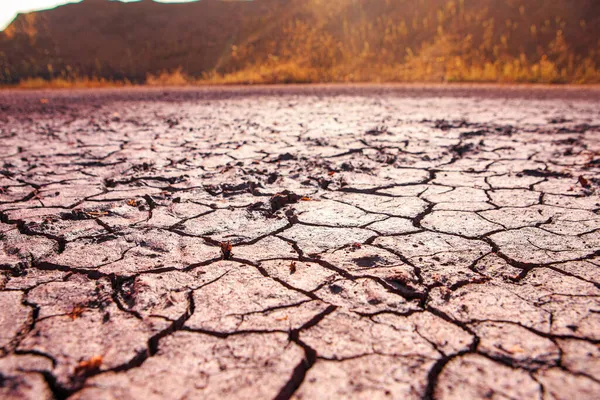 Rissige Rote Erde Während Der Dürre Die Struktur Der Erde — Stockfoto