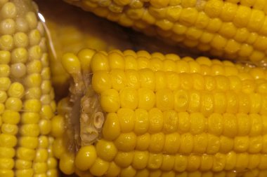 Yakın plan taze pişmiş mısır, loş ışıkta sığ alan derinliği