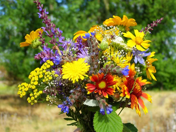 Beautiful Bouquet Wildflowers Background Steppe Meadow Different Wildflowers Bouquet — Stockfoto