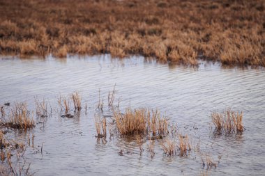 Nehir kıyısı ilkbaharın başlarında, su erimemiş buzdur. Kışın sonunda ya da ilkbaharın başında küçük bir bozkır nehri