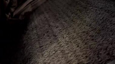 Demir cevheri parçalarını ayırmak için pelet tarama işlemi. Minerallerin işlenmesinde kullanılan teknolojik sürecin bir parçası. Metalurji için ham madde.