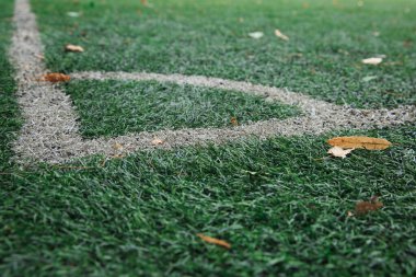 Yapay sahası olan bir futbol sahasının köşesinde. Çimenlerin üzerinde sarı yapraklar var..