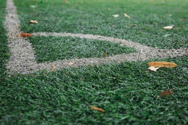 Yapay sahası olan bir futbol sahasının köşesinde. Çimenlerin üzerinde sarı yapraklar var..