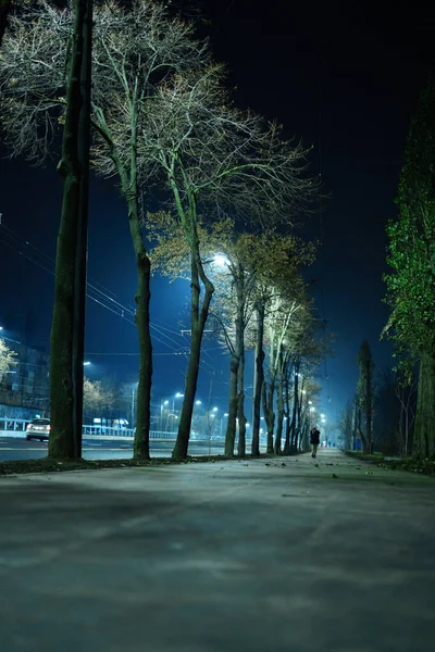 Sidewalk Major Highway Light Street Lights Night — Stock Photo, Image