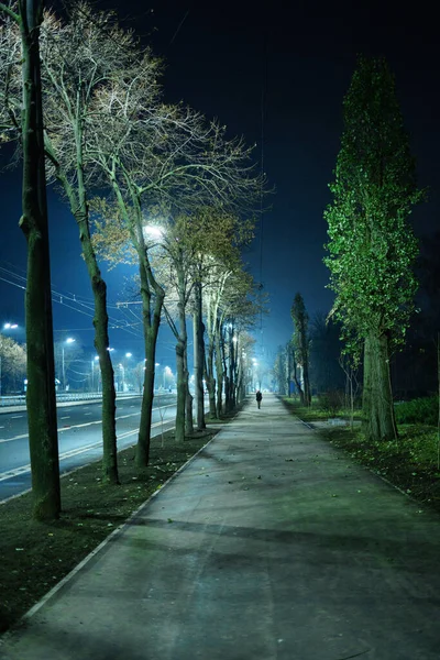 Sidewalk Major Highway Light Street Lights Night — Stock Photo, Image