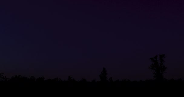 小さな木でクリアリングの上に夜明け タイムラプス — ストック動画