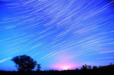 Gökyüzündeki yıldız izleri. Yıldızların bir tarla ve yalnız bir ağaç üzerindeki hareketi. Gece gökyüzü uzun pozlarda. Gece gökyüzünün küçük bir ağacın üzerindeki manzarası.