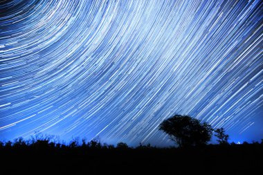 Gökyüzündeki yıldız izleri. Yıldızların bir tarla ve yalnız bir ağaç üzerindeki hareketi. Gece gökyüzü uzun pozlarda. Gece gökyüzünün küçük bir ağacın üzerindeki manzarası.