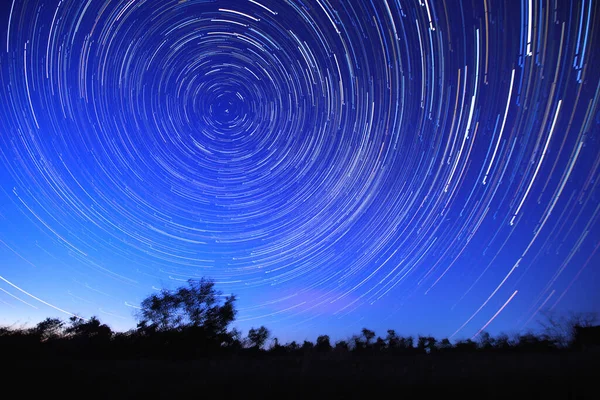 Sterrensporen Lucht Beweging Van Sterren Een Veld Een Eenzame Boom — Stockfoto