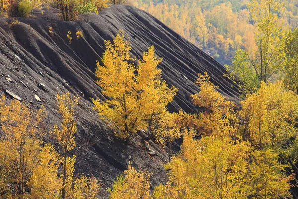Kolorowe Jesienne Drzewa Skalistym Terenie Górskim Górski Teren Jesienią Przejrzysty — Zdjęcie stockowe