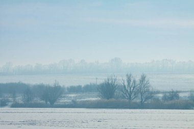 Kış nehri manzarasının düşük kontrastlı görüntüsü. Nehir ya da göl kışı manzarası. Karla kaplı bir nehir ya da göl.
