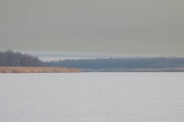 Kış nehri manzarasının düşük kontrastlı görüntüsü. Nehir ya da göl kışı manzarası. Karla kaplı bir nehir ya da göl.