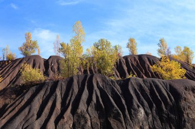 Güneşli bir günde dağın yamaçlarında sonbahar ağaçları. Ağaçlar ve mavi gökyüzü ile sonbahar kayalık manzarası