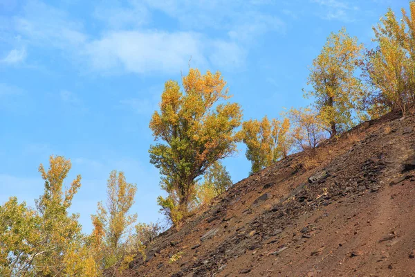晴れた日には山の斜面に秋の木々 木々や青空と秋の山の岩の風景 — ストック写真