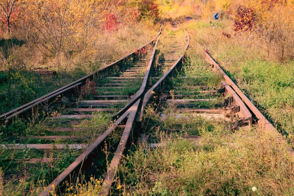 An old railroad switch. A junction of an inactive old railroad in the fall on a sunny day. A railroad bed in an autumn forest