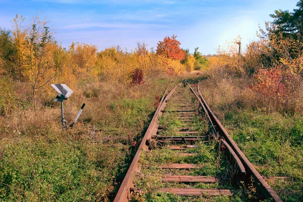 Viejo Interruptor Ferrocarril Cruce Viejo Ferrocarril Inactivo Otoño Día Soleado — Foto de Stock