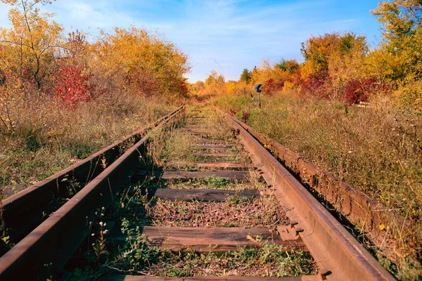 Velho Interruptor Caminho Ferro Uma Junção Uma Estrada Ferro Velha — Fotografia de Stock