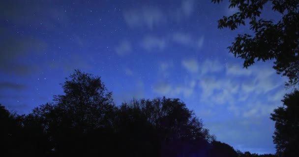 Starry Sky Dark Night Silhouette Trees Background Stars Clouds Move — Wideo stockowe