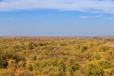 Güneşli bir günde bir sonbahar ormanının manzarası. Karışık bir ormanda renkli ağaçlar. Sonbaharın sonlarındaki doğal manzaralar.