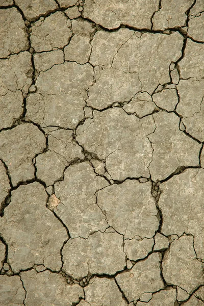 Parched Earth Cracked Gray Hasn Rained Long Time Texture Soil — Stok fotoğraf