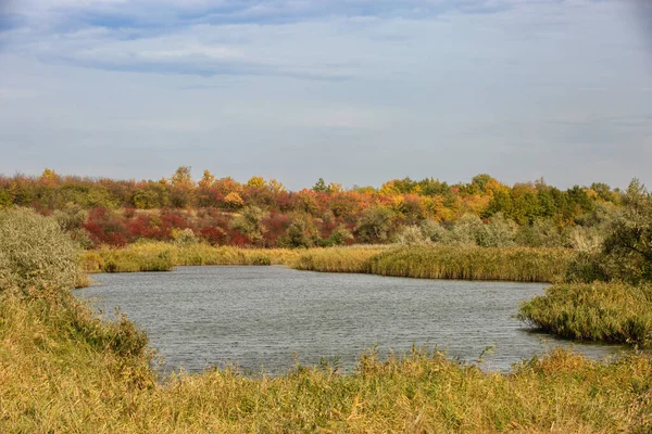 Landscape of a river or lake in the fall .Berga river with autumn colorful trees. Steppe autumn landscape.