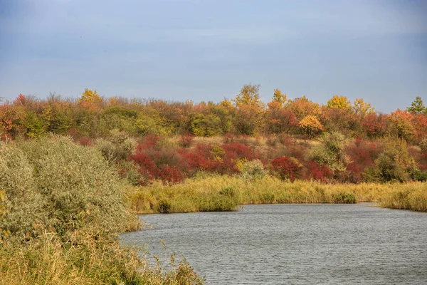 Landscape of a river or lake in the fall .Berga river with autumn colorful trees. Steppe autumn landscape.