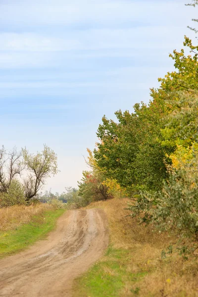 A dirt road in the countryside, with colorful fall trees along the road. Country roads in late fall on a sunny day.