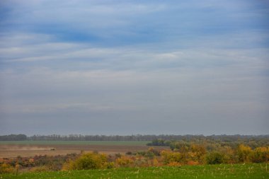 Landscape autumn agricultural fields, between the fields of forests.