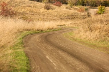 A field dirt road on a sunny day, dried grass on the sides