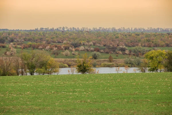 A river or lake in the steppe region in the fall. Autumn trees around the reservoir.Autumn countryside.
