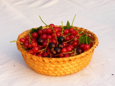 Hasır sepetin içinde açık bir masa örtüsü üzerinde yaz meyveleri..